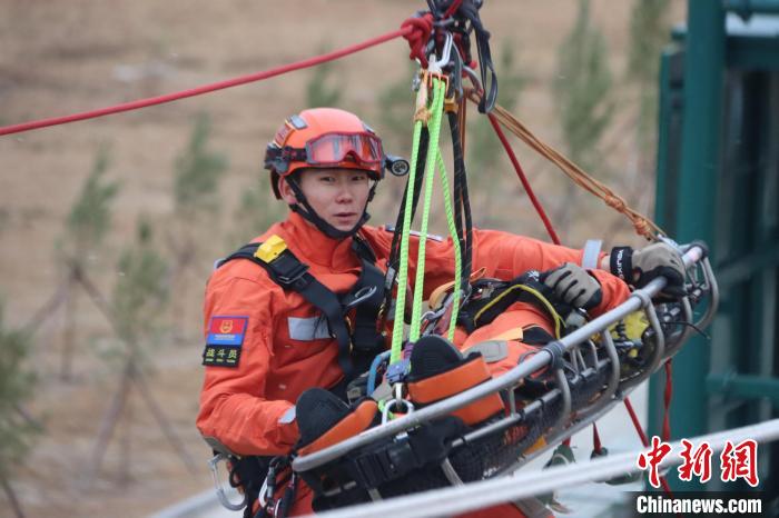 包含羽毛球高手技压群雄，一举夺魁的词条