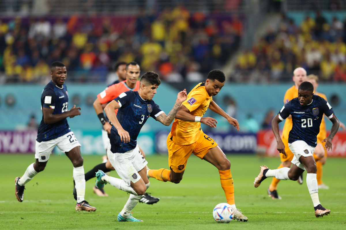 荷兰队实力突出小组第一