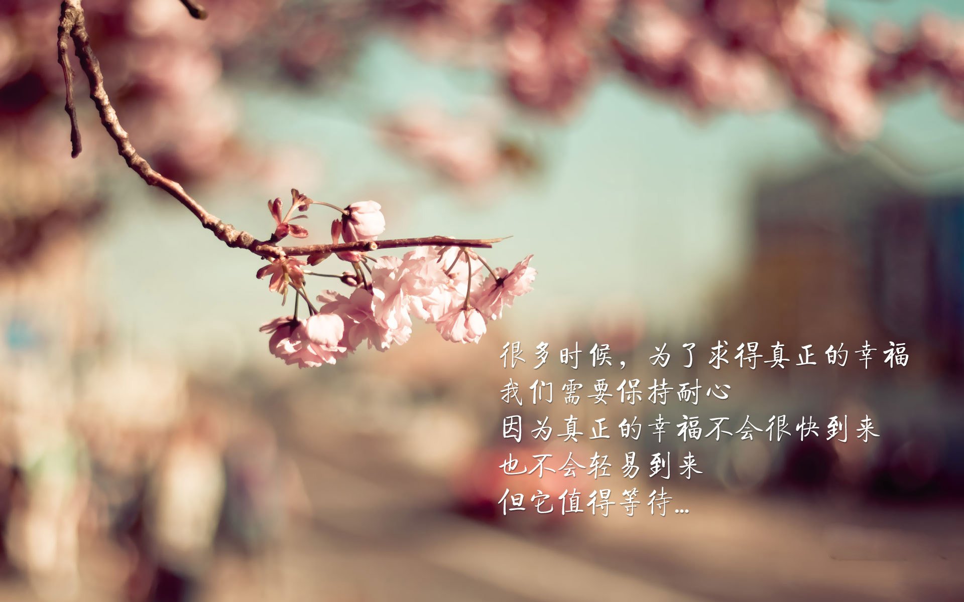 篮网逆流而上,西决生死战力克浙江,诠释硬仗真谛